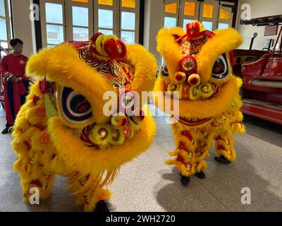 (240207) -- SYDNEY, 7. Februar 2024 (Xinhua) -- Ein lokales Löwentanz-Team feiert am 7. Februar 2024 das kommende chinesische Neujahr in der City of Sydney Fire Station in Sydney, Australien. Die Feuerwehr- und Rettungsbehörde im australischen Bundesstaat New South Wales veranstaltete am Mittwoch eine spezielle chinesische Löwentanzzeremonie in Sydney, um das kommende Jahr von Dragon zu begrüßen und gleichzeitig den 140. Jahrestag seines Dienstes zu feiern. PASSEND ZU „Australian Firefighters Celebration Coming Chinese New Year with Löwentanz“ (Fire and Rescue New South Wales/Handout via Xinhua) Stockfoto