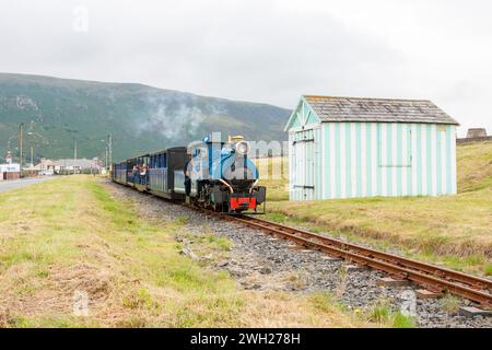 Die Fairbourne Railway zwischen Fairbourne und Penrhyn Point Stockfoto