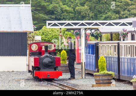 Die Fairbourne Railway zwischen Fairbourne und Penrhyn Point Stockfoto