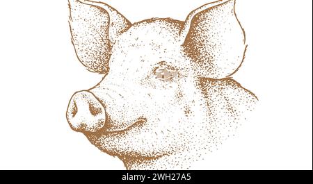 Schweinefleisch, Schweinekopf. Vintage-Retro-Druck, schwarz-weiße Pig-Zeichnung mit Sketch-Tinte, Stilzeichnung, Gravur Old School. Sketch-Kunstwerk Silhouette Kopf Schwein, weißer Hintergrund. Seitenansichtsprofil. Vektorabbildung Stock Vektor