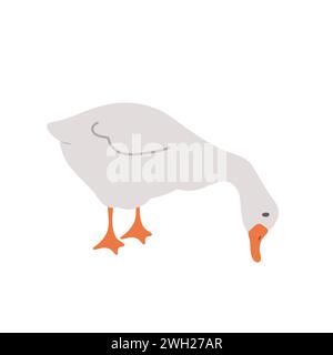 Süße Bauerngans. Hausente auf weißem Hintergrund. Landwirtschaft Vogel. Tierwelt im Dorf. Perfekt für Logo, Grußkarte und Geschenkpapier. Vektor Stock Vektor