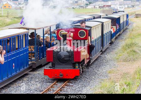 Die Fairbourne Railway zwischen Fairbourne und Penrhyn Point Stockfoto