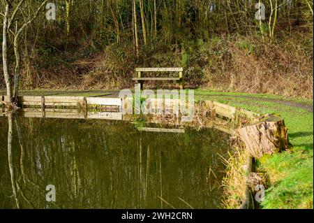 Leere Holzbank neben einem Angelbecken im Winter. Stockfoto