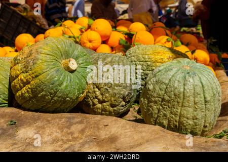 Verschiedene Gemüsesorten auf dem Markt von Rissani, Sahara Wüste, Marokko Stockfoto