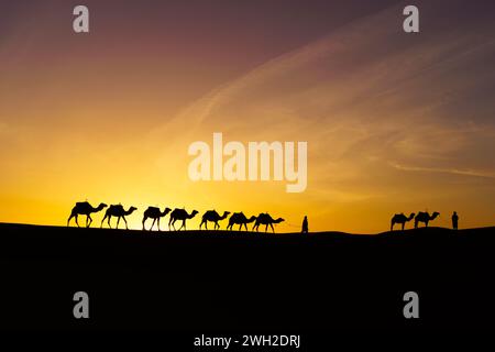 Sonnenaufgang-Silhouette aus Kamelen und Handlern, in den Sanddünen von Merzouga, der Sahara, Marokko Stockfoto
