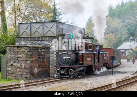 Eine Schmalspurdampfbahn, die in Tan y Bwlch auf der Ffestiniog-Bahn Wasser nimmt Stockfoto