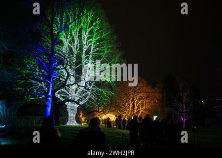 Dezember 2022. Brandneue Installationen zeigen Kew Gardens in einem völlig neuen Licht, während der ursprüngliche, festliche Lichtpfad Großbritanniens in die weltberühmten botanischen Gärten in London zurückkehrt. Stockfoto