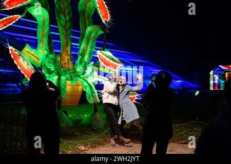 Dezember 2022. Brandneue Installationen zeigen Kew Gardens in einem völlig neuen Licht, während der ursprüngliche, festliche Lichtpfad Großbritanniens in die weltberühmten botanischen Gärten in London zurückkehrt. Stockfoto