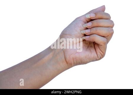 Hände einer Frau mit langen Nägeln ohne Farbe oder Ausbesserungen. Stockfoto