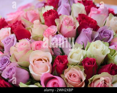 Ein großer, wunderschöner Strauß farbiger Rosen. Stockfoto
