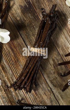 Bio-Roh Madagaskar-Vanillebohnen in einem Haufen Stockfoto