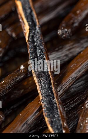 Bio-Roh Madagaskar-Vanillebohnen in einem Haufen Stockfoto