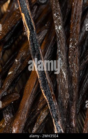 Bio-Roh Madagaskar-Vanillebohnen in einem Haufen Stockfoto