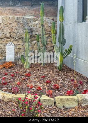 Santa Barbara, CA, USA - 18. Dezember 2023: Historischer Grabstein aus dem 19. Jahrhundert für das junge Mädchen Josephine Blake, besetzt mit Kakteen und roten Blumen in der Ecke Stockfoto