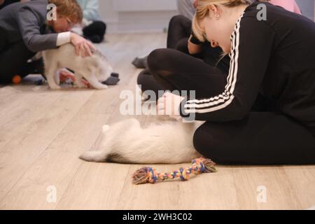 Boulogne Billancourt, Frankreich. Februar 2024. Der Yoga-Kurs während des Spiels mit Welpen Spaß und entspannende Puppy Yoga Paris-Kurse sind ein einzigartiges Erlebnis und bieten die Möglichkeit, Welpen, die nach einer Familie suchen, zu treffen, während sie Ihr Zen finden. Welpen Yoga gilt als förderlich für die geistige und körperliche Gesundheit. Es ist ein einzigartiges und angenehmes Erlebnis für Hündchenliebhaber und Yoga-Enthusiasten am 07. Februar 2024 in Boulogne Billancourt, Frankreich. @Puppy Yoga paris. Foto: Marie Hubert Psaila/ABACAPRESS.COM Credit: Abaca Press/Alamy Live News Stockfoto
