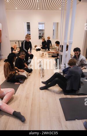 Boulogne Billancourt, Frankreich. Februar 2024. Der Yoga-Kurs während des Spiels mit Welpen Spaß und entspannende Puppy Yoga Paris-Kurse sind ein einzigartiges Erlebnis und bieten die Möglichkeit, Welpen, die nach einer Familie suchen, zu treffen, während sie Ihr Zen finden. Welpen Yoga gilt als förderlich für die geistige und körperliche Gesundheit. Es ist ein einzigartiges und angenehmes Erlebnis für Hündchenliebhaber und Yoga-Enthusiasten am 07. Februar 2024 in Boulogne Billancourt, Frankreich. @Puppy Yoga paris. Foto: Marie Hubert Psaila/ABACAPRESS.COM Credit: Abaca Press/Alamy Live News Stockfoto