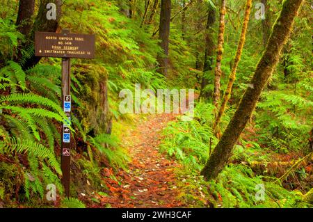 Trail Zeichen entlang der Umpqua River National Recreation Trail, Rogue-Umpqua National Scenic Byway, Umpqua National Forest, Oregon Stockfoto