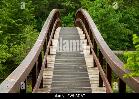 Wanderbrücke über Little River auf dem Wolf Creek Falls Trail, Roseburg District Bureau of Land Management, Oregon Stockfoto