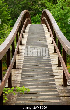 Wanderbrücke über Little River auf dem Wolf Creek Falls Trail, Roseburg District Bureau of Land Management, Oregon Stockfoto