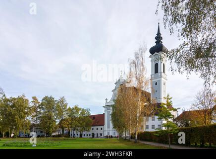 Marienmünster Kirche Dießen am Ammersee Oberbayern, Ammersee Lech, Oberbayern, Bayern Deutschland Stockfoto