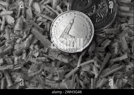 Deutsche Münze 2 Euro Bundesland Hamburg 2008. Schwarz-weiß Stockfoto