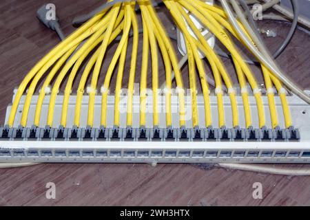 Hintergrund, Detail, Netzwerktechnologie: Bar mit zahlreichen angeschlossenen Netzwerkkabeln Stockfoto