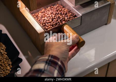 Männliche Hand, die kurz nach dem Rösten einen Teil gerösteter arabica-Kaffeebohnen extrahiert, Nahaufnahme mit Bewegungsunschärfe-Effekt Stockfoto