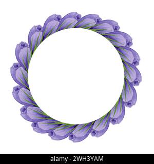 Violetter Krokuskranz, runder Rahmen mit Frühlingsblumen. Handgemalte Aquarellblume Illustration auf weißem Hintergrund Designelement für Etikett, Logo Stockfoto