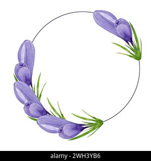 Violetter Krokuskranz, runder Rahmen mit Frühlingsblumen. Handgemalte Aquarellblume Illustration auf weißem Hintergrund Designelement für Etikett, Logo Stockfoto