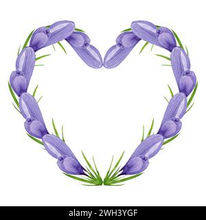 Violette Krokusse Herzkranz, Frühlingsblumenrahmen. Handgemalte Aquarellblume Illustration auf weißem Hintergrund. Designelement für Etikett, Logo Stockfoto