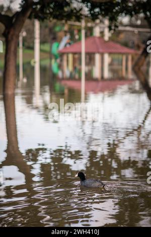 Unterer Spielplatz und großer Teich im Polliwog Park, überflutet vom Regen in Manhattan Beach, CA Stockfoto