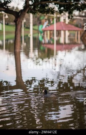 Unterer Spielplatz und großer Teich im Polliwog Park, überflutet vom Regen in Manhattan Beach, CA Stockfoto