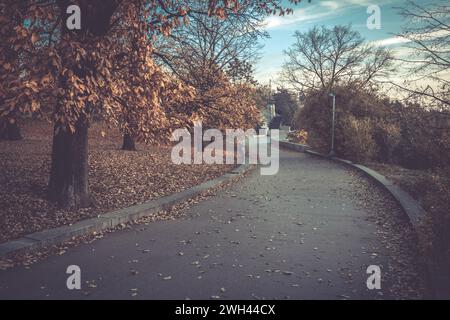 Herbstzeit in Letna Parks mit bunten Bäumen, Prag, Tschechische Republik Stockfoto