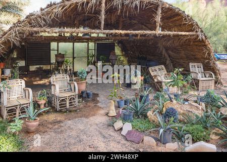 Naher Osten, Saudi-Arabien, Medina, Al-Ula. November 2023. Schattenhaus in der Daimumah Oase. Stockfoto