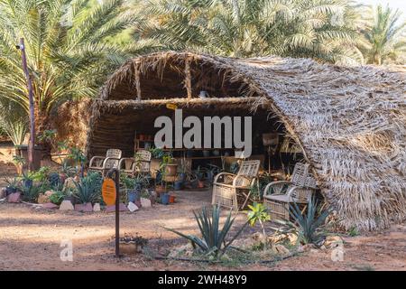 Naher Osten, Saudi-Arabien, Medina, Al-Ula. November 2023. Schattenhaus in der Daimumah Oase. Stockfoto