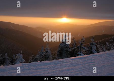 Sonnenuntergang in den Bergen und verschneite Tannen in den Karpaten der Tschechischen Republik. Foto auf einer Langlaufloipe Stockfoto