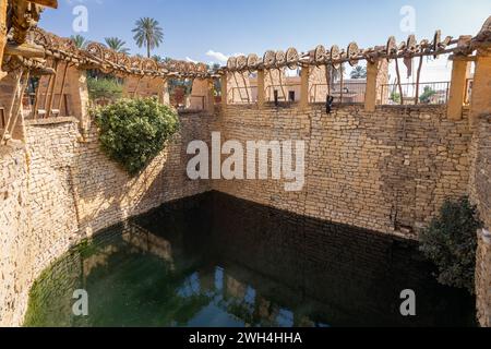 Naher Osten, Saudi-Arabien, Provinz Tabuk, Tayma. Ein Wasserpool in einer Wüstenoase. Stockfoto