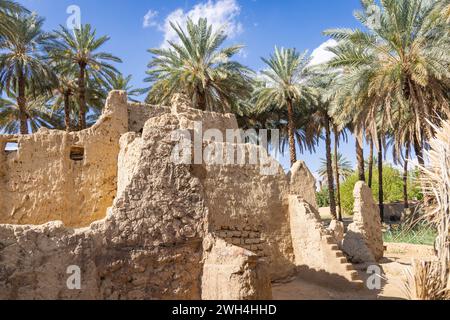 Naher Osten, Saudi-Arabien, Provinz Tabuk, Tayma. Dattelpalmen in einer Wüstenoase. Stockfoto