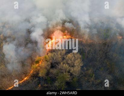 Waldbrände setzen Kohlendioxidemissionen (CO2) und andere Treibhausgase (THG) frei, die zum Klimawandel und zur globalen Erwärmung beitragen. Stockfoto