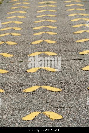 Die gelben Fußabdrücke im Marine Corps Recruit Depot, Parris Island, South Carolina, USA Stockfoto