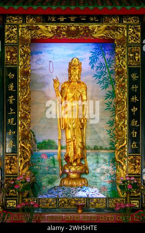 Bangkok, Thailand - 11. September 2011: Statue von Guan Yin im Schrein im Inneren des Thian Fah Foundation Hospital, die erste Stiftung registriert i Stockfoto