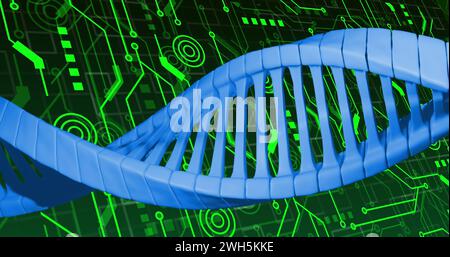 Bild des dna-Strangs über Netzwerk von Verbindungen Stockfoto