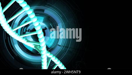 Bild des dna-Strangs, der sich mit Datenverarbeitung über schwarzem Hintergrund dreht Stockfoto
