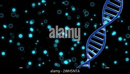 Bild eines sich drehenden dna-Strangs mit Lichtflecken auf schwarzem Hintergrund Stockfoto