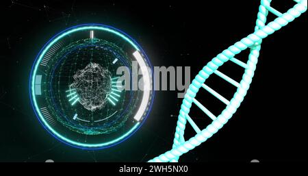 Bild des dna-Strangs, der sich mit Datenverarbeitung über schwarzem Hintergrund dreht Stockfoto