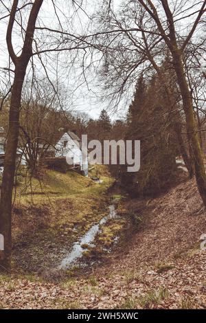Ein malerischer Waldbach, der im Veluwe-Nationalpark in den Niederlanden fließt Stockfoto