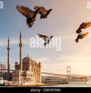 Ein wunderbarer Blick auf den Bosporus von Istanbul bei Sonnenuntergang. Eine Moschee am Bosporus. Vögel fliegen bei Sonnenuntergang. Ortakoy historische Moschee, Büyük Mecidiye Moschee Stockfoto