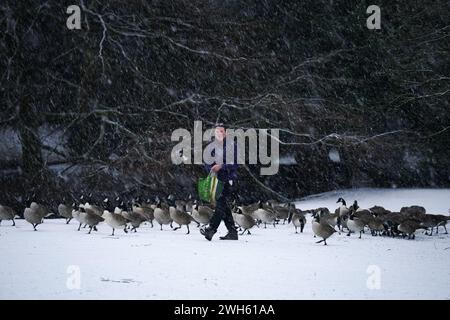 Eine Person spaziert durch Pavilion Gardens, Buxton, Peak District. In Teilen Englands und Wales werden bis zu 25 cm Schnee prognostiziert, da das Met Office Wetterwarnungen ausgab und vor Reisestörungen warnte. Bilddatum: Donnerstag, 8. Februar 2024. Stockfoto