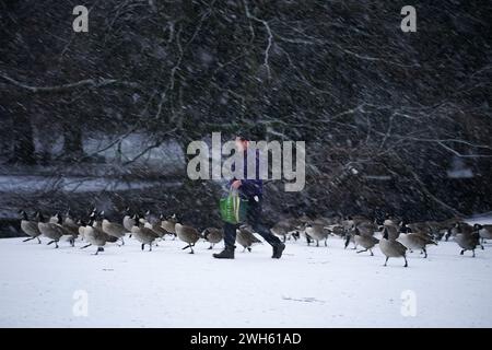 Eine Person spaziert durch Pavilion Gardens, Buxton, Peak District. In Teilen Englands und Wales werden bis zu 25 cm Schnee prognostiziert, da das Met Office Wetterwarnungen ausgab und vor Reisestörungen warnte. Bilddatum: Donnerstag, 8. Februar 2024. Stockfoto