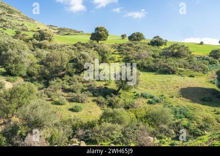 Landschaft des nördlichen Tunesiens - Sejnene - Tunesien Stockfoto